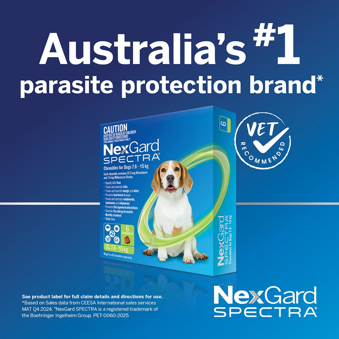 NexGard Spectra Medium Breed 7.6-15kg Flea, Tick & Worming Dog Chews