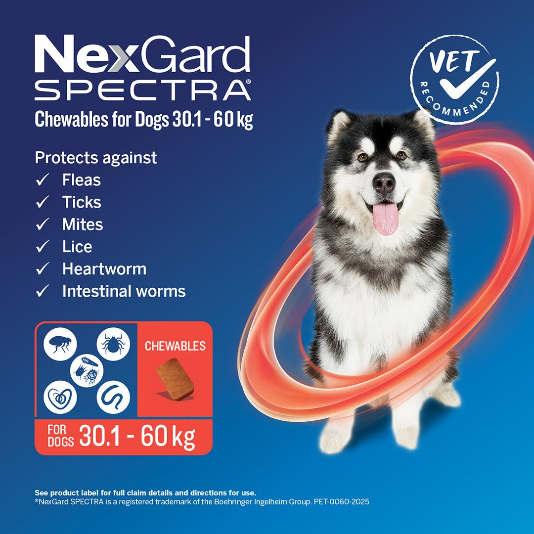 NexGard Spectra Extra Large Breed 30.1-60kg Flea, Tick & Worming Dog Chews