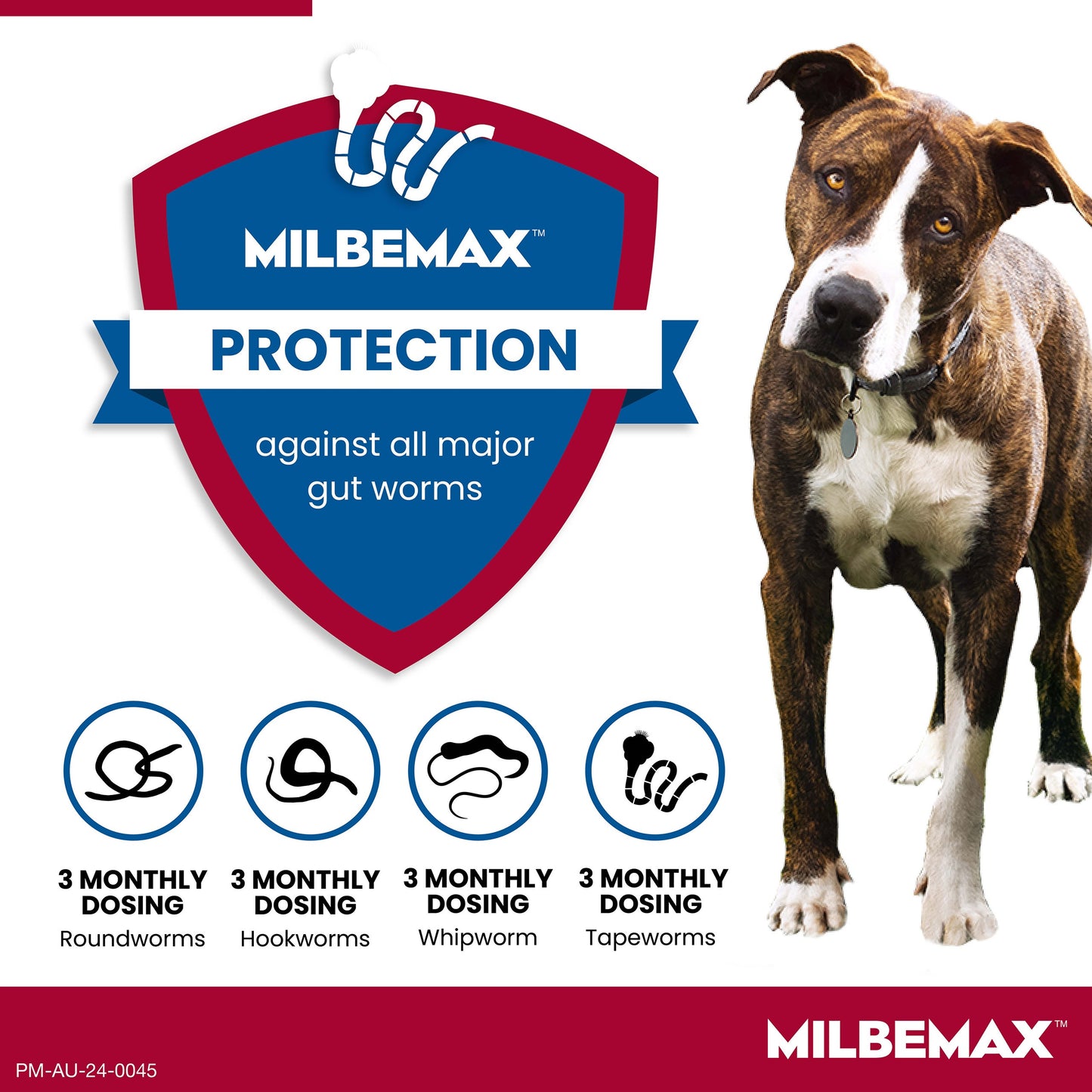 Milbemax Allwormer >5kg Dog 2 Pack