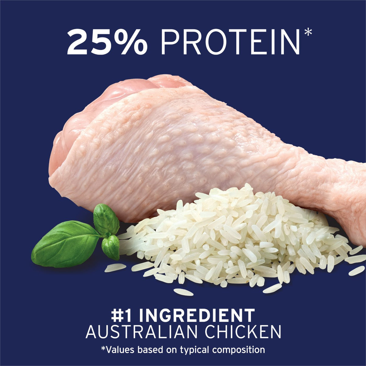 Advance Large Breed Adult Chicken & Rice Dry Dog Food