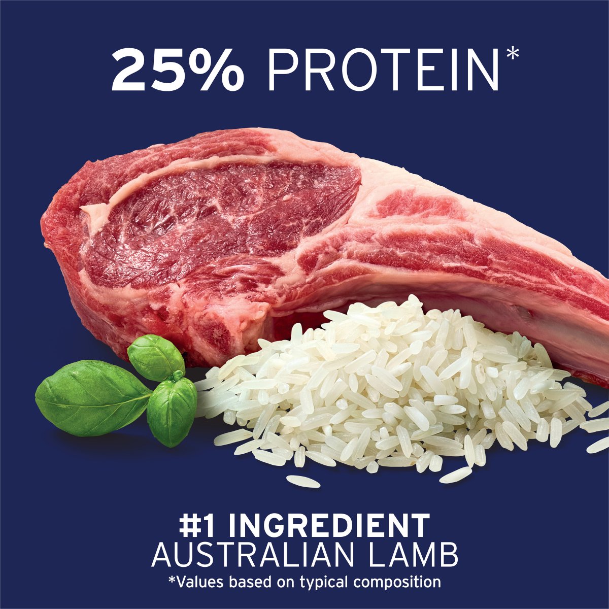 Advance Small Breed Adult Lamb & Rice Dry Dog Food