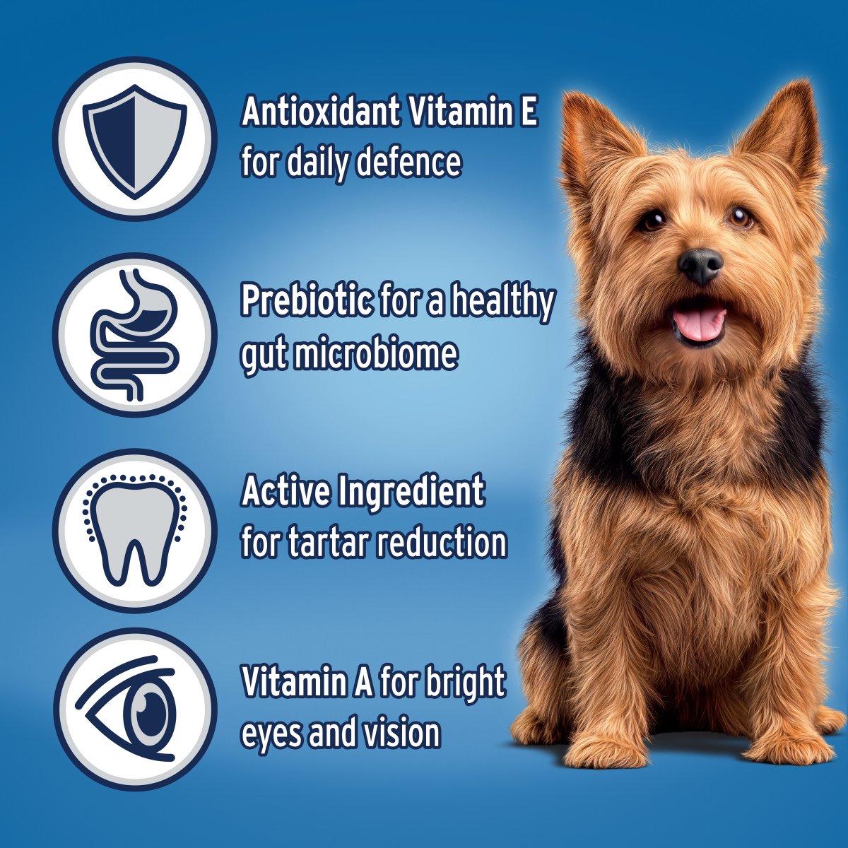 Advance Small Breed Adult Lamb & Rice Dry Dog Food