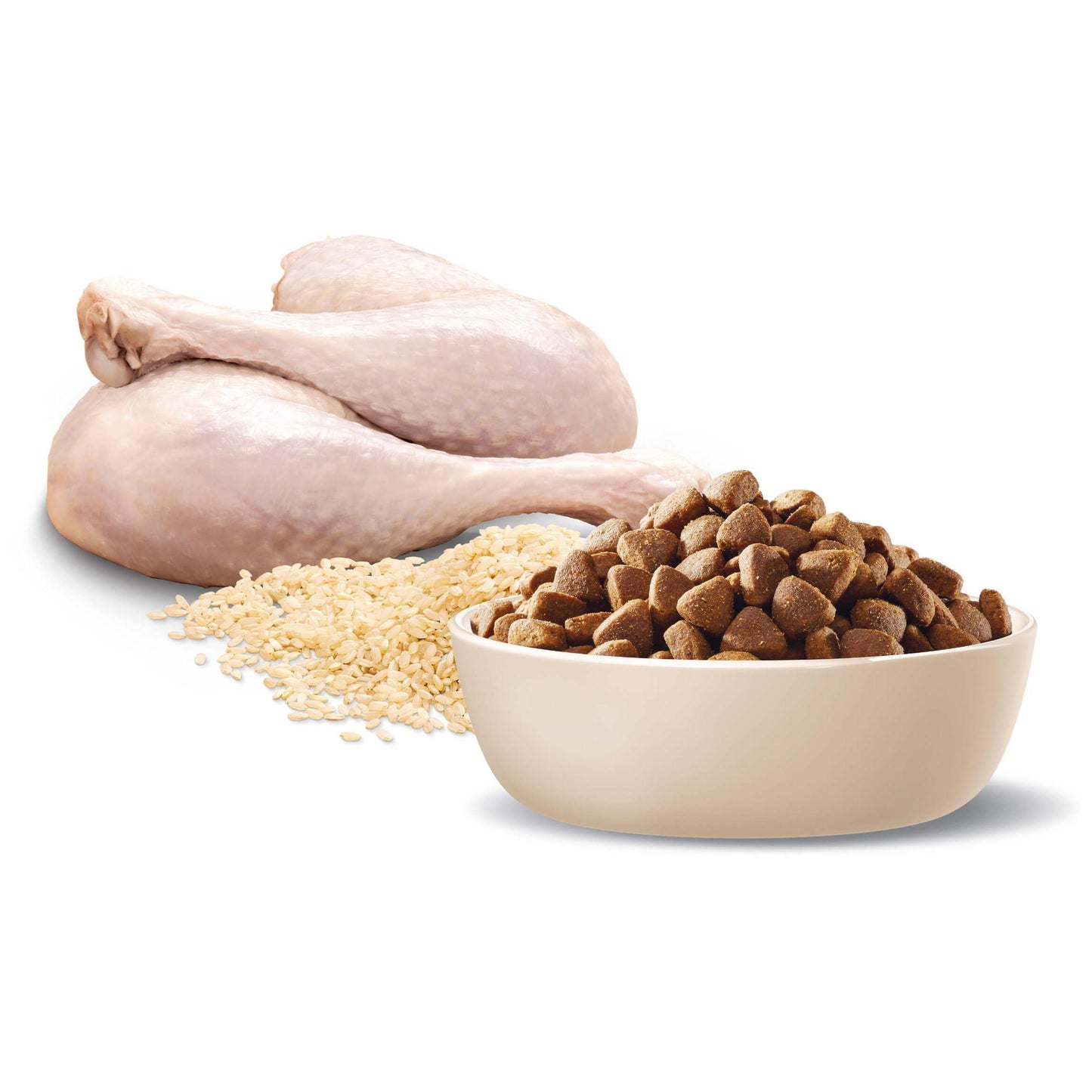 Advance Adult All Breed Turkey and Rice Dry Dog Food