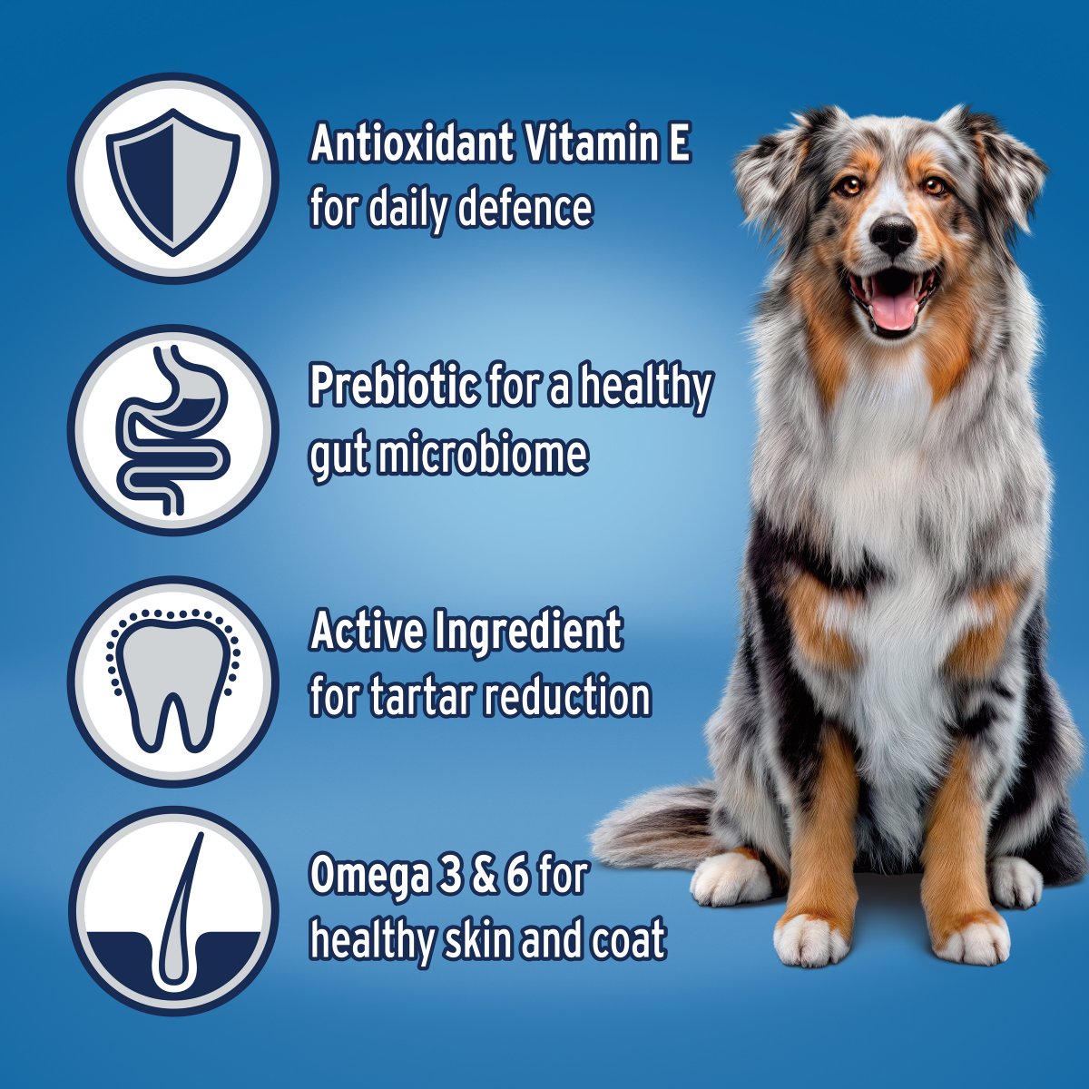 Advance Medium Breed Adult Chicken & Rice Dry Dog Food