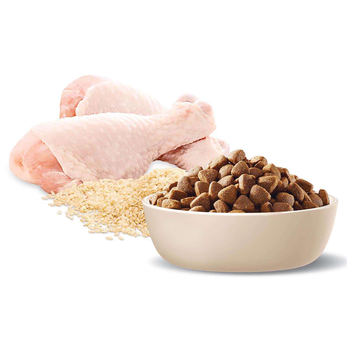 Advance Adult Chicken Dry Dog Food