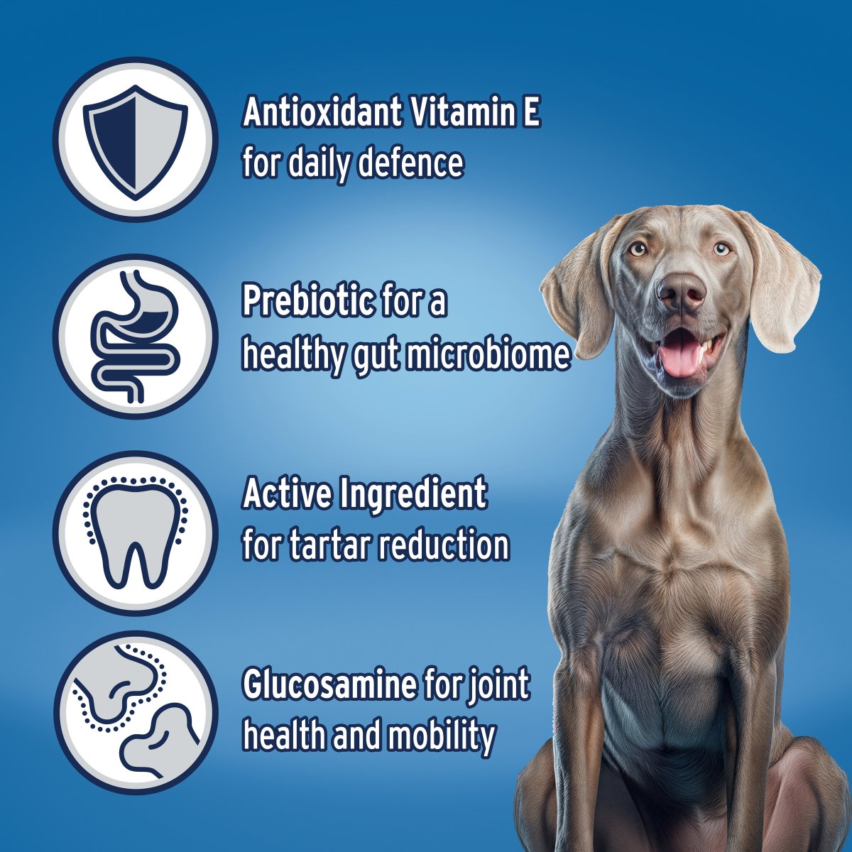 Advance Large Breed Adult Chicken & Rice Dry Dog Food