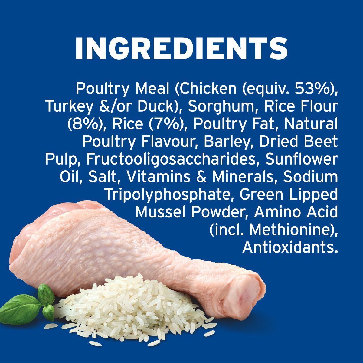 Advance Large Breed Adult Chicken & Rice Dry Dog Food