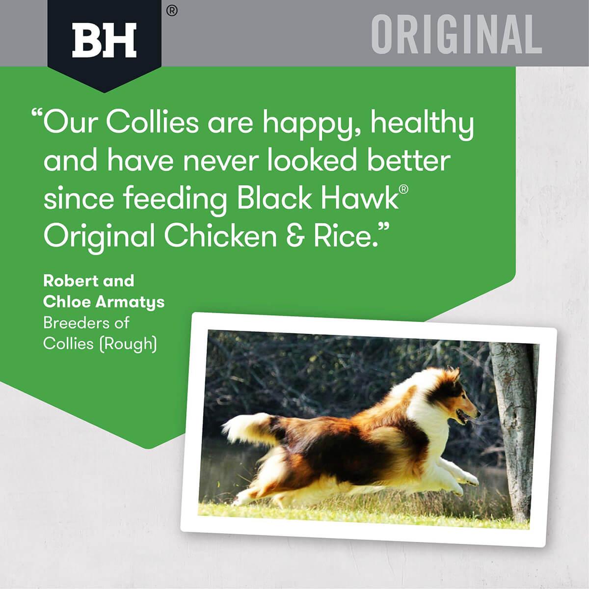 Black Hawk Original Adult Chicken & Rice Dry Dog Food