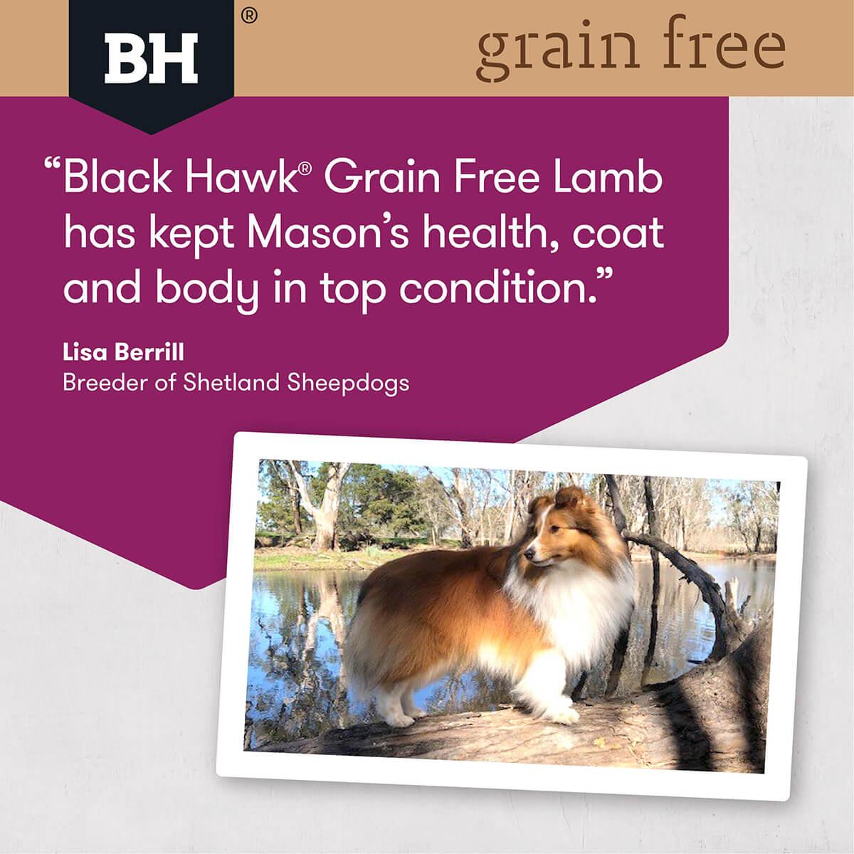 Black Hawk Grain Free Adult Lamb Dry Dog Food