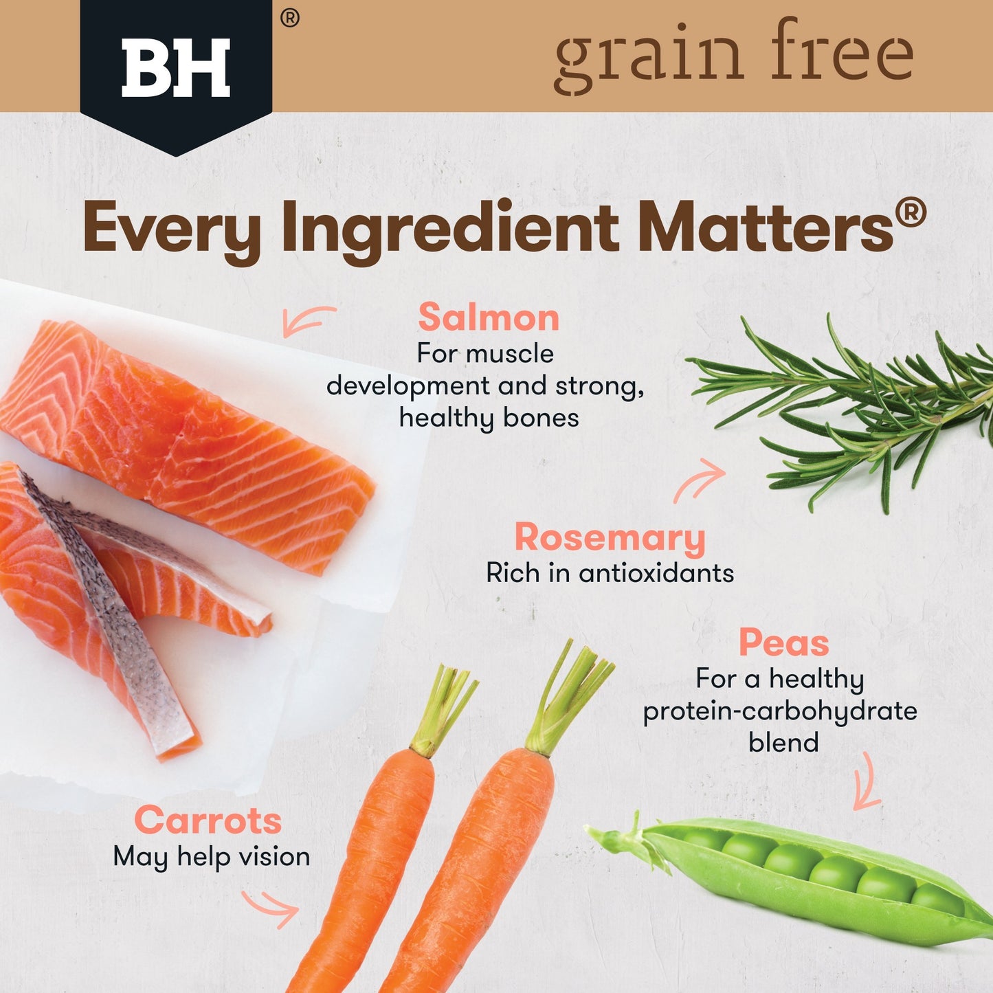 Black Hawk Grain Free Adult Salmon Dry Dog Food