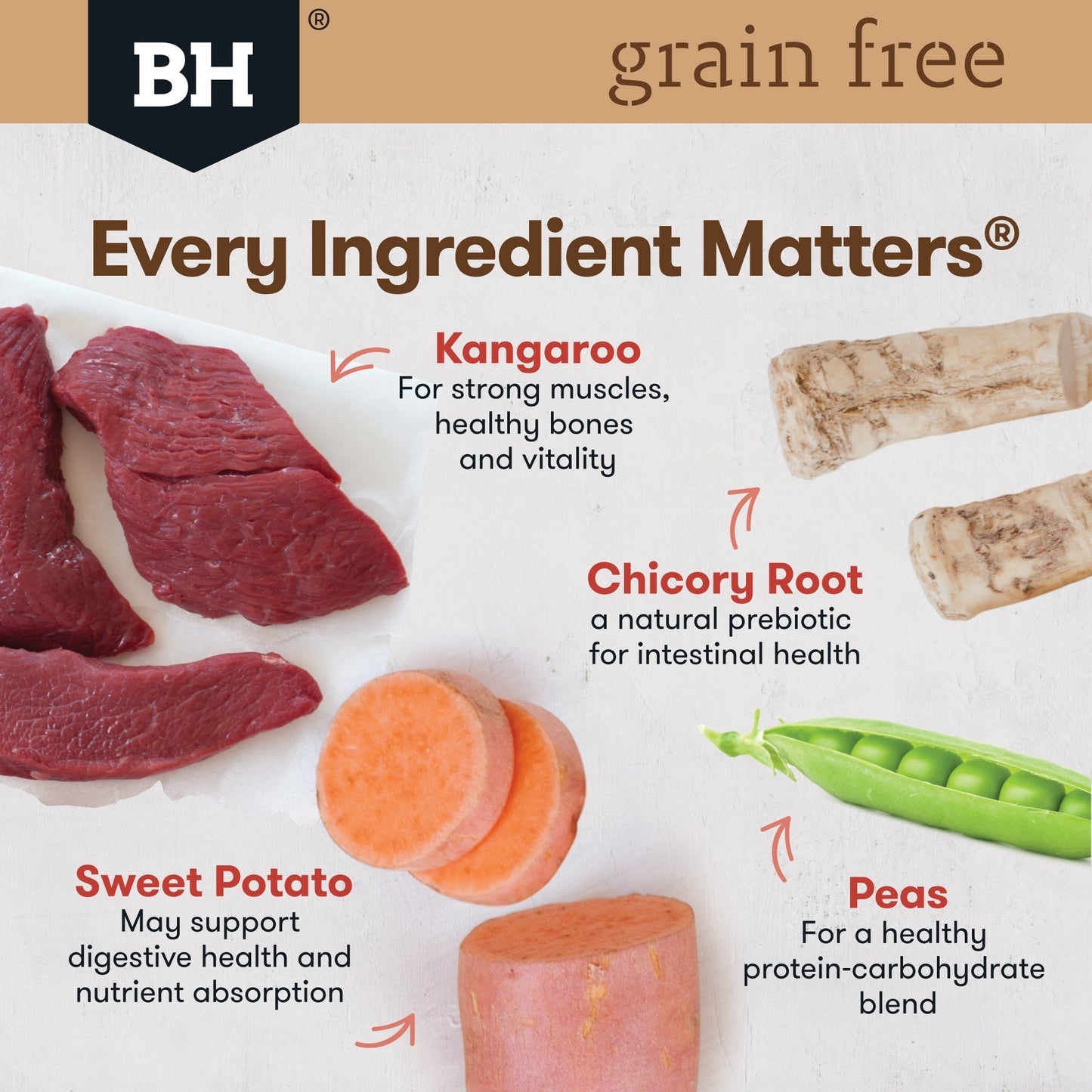 Black Hawk Grain Free Adult Kangaroo Dry Dog Food