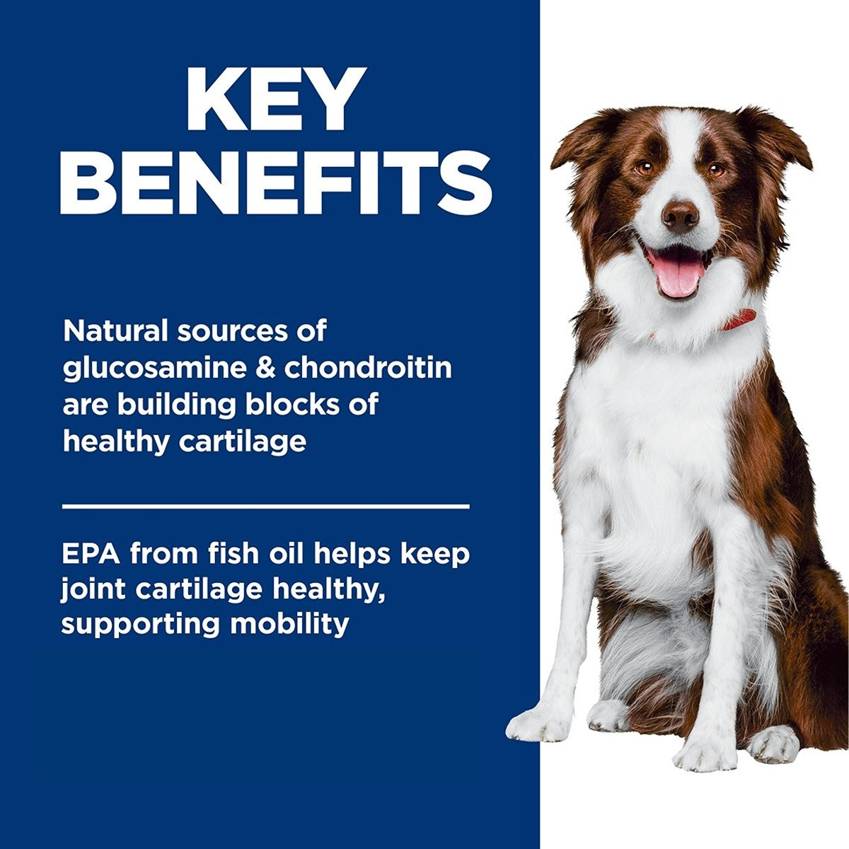 Hill's Science Diet Large Breed Healthy Mobility Adult Chicken Dry Dog Food