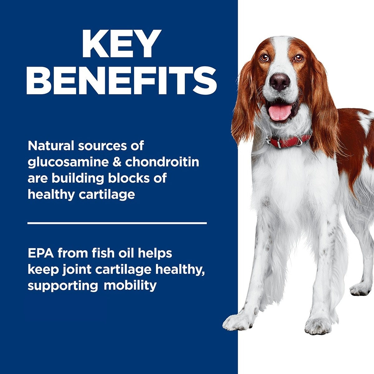 Hill's Science Diet Healthy Mobility Adult Chicken Dry Dog Food