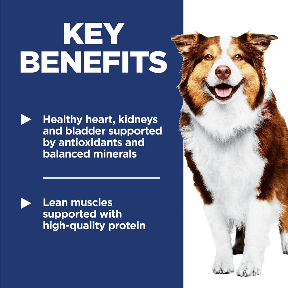 Hill's Science Diet Adult 7+ Senior Dry Dog Food