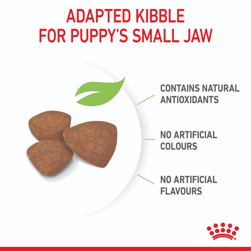 Royal Canin Mini Breed Puppy Dry Dog Food