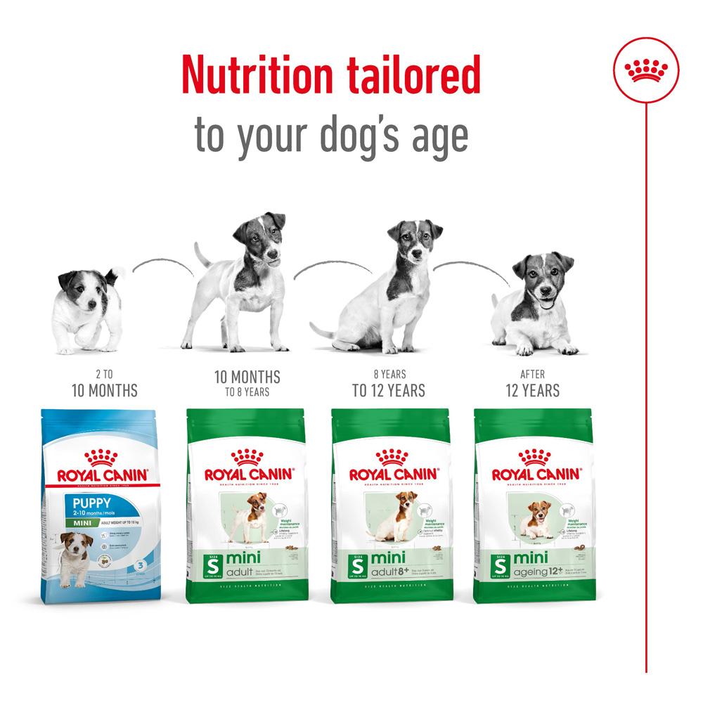 Royal Canin Mini Ageing 12+ Senior Dry Dog Food 1.5kg