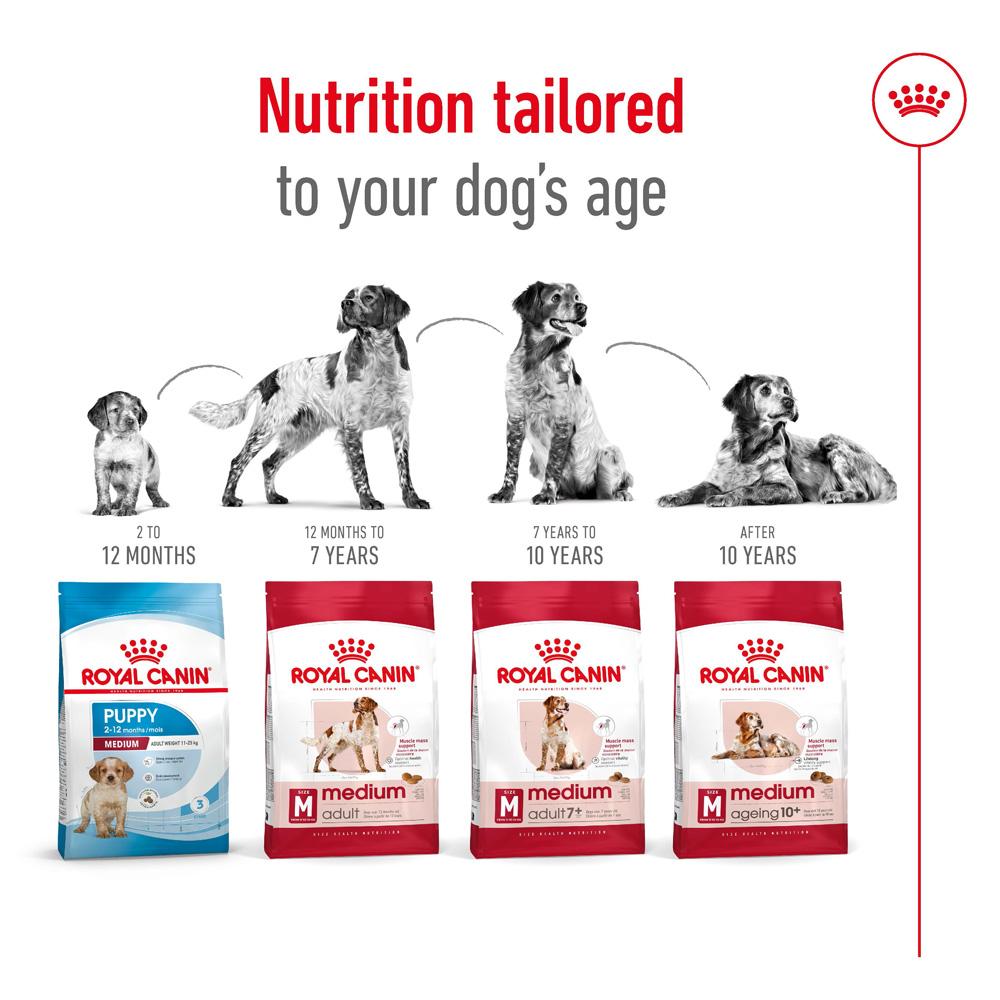 Royal Canin Medium Ageing 10+ Senior Dry Dog Food 15kg