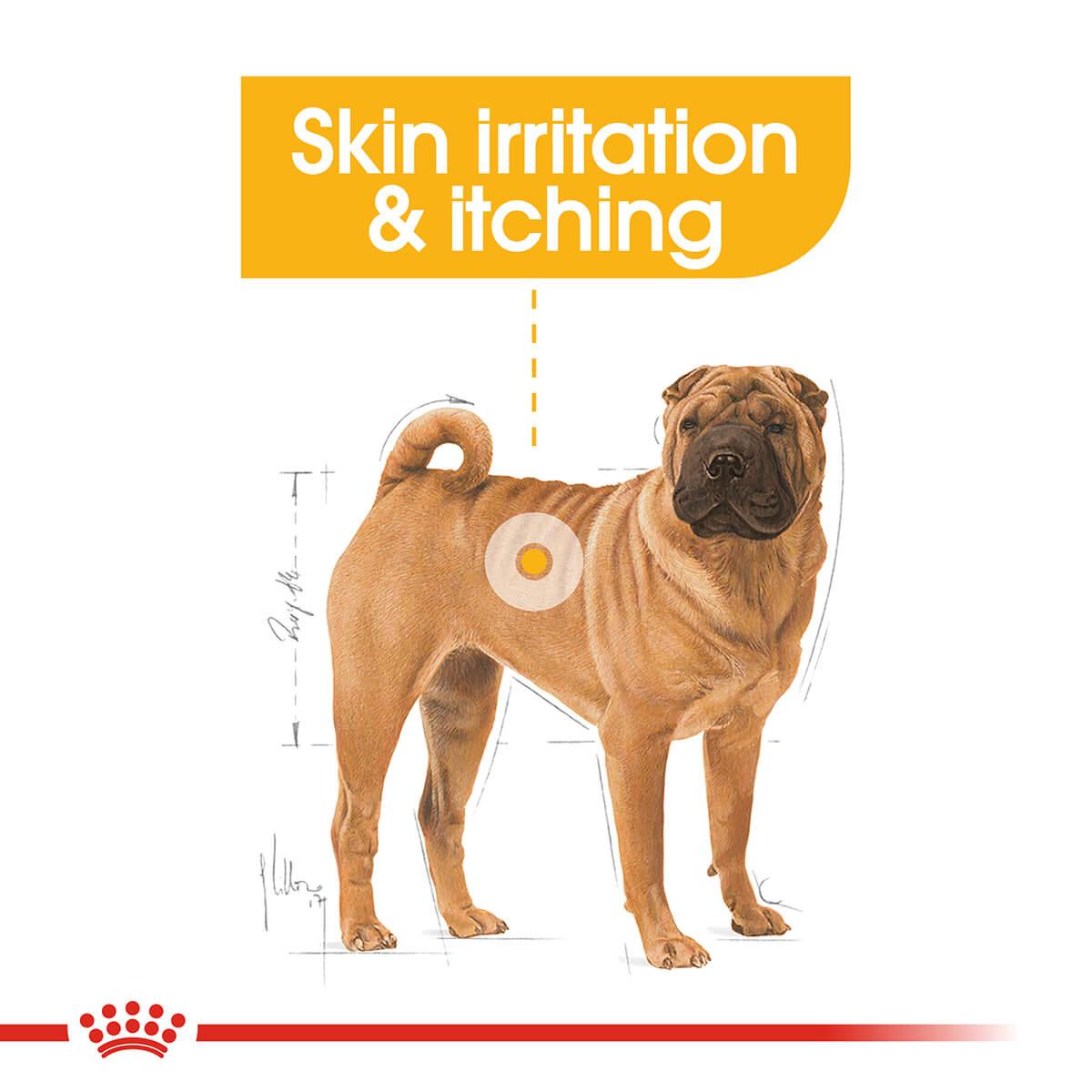 Royal Canin Dermacomfort Medium Adult Dry Dog Food
