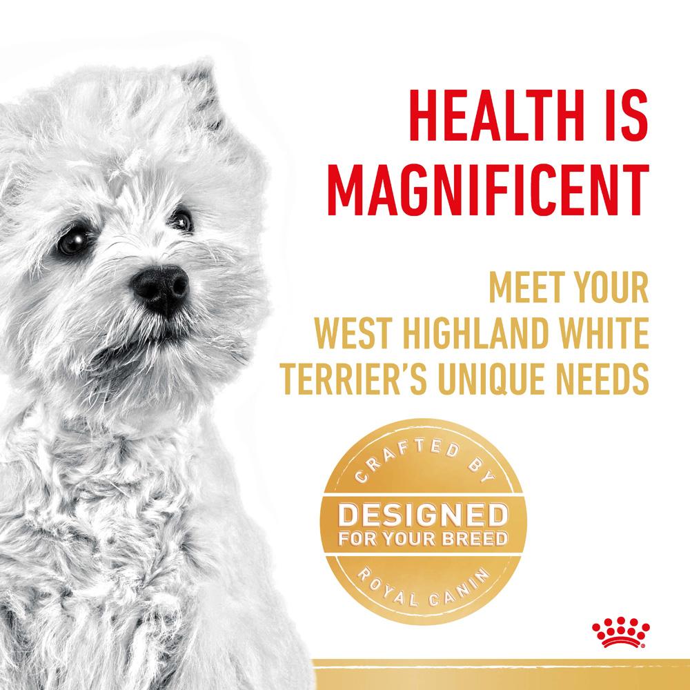 Royal Canin West Highland Terrier Adult Dry Dog Food 3kg