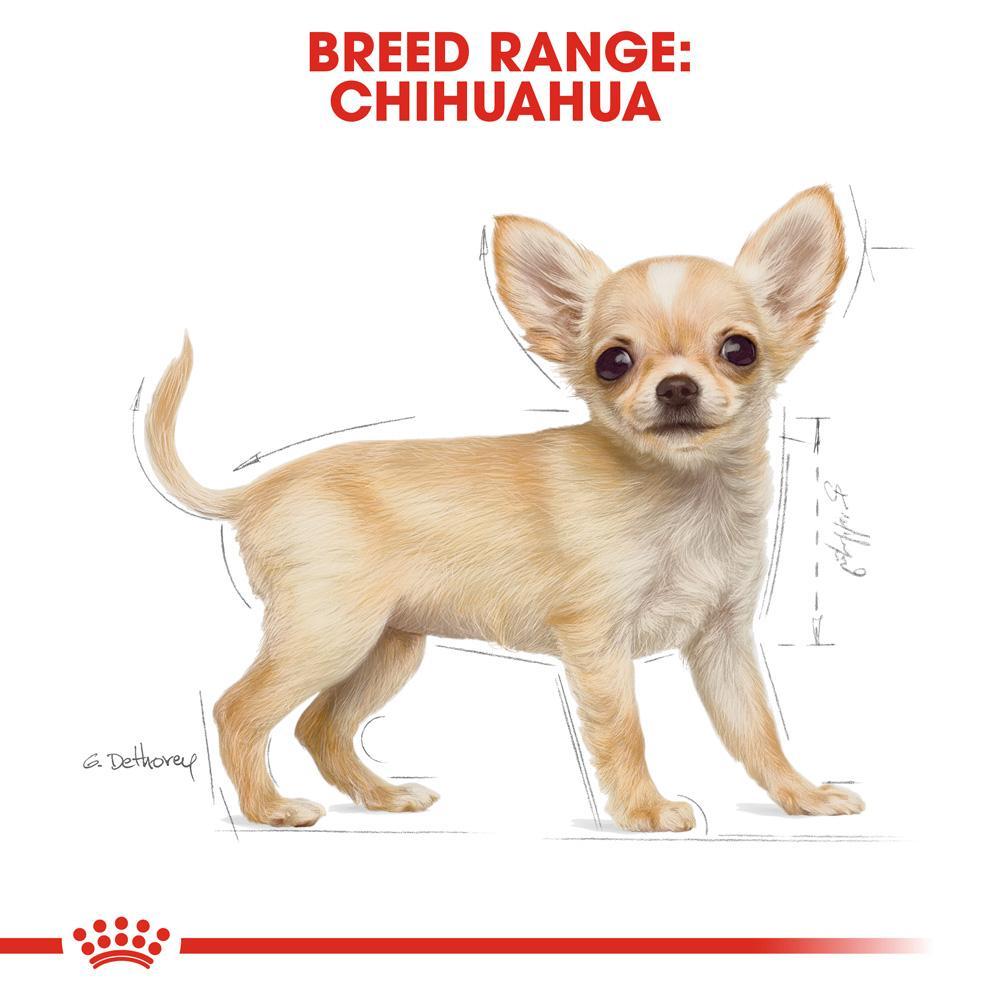 Royal Canin Chihuahua Puppy Dry Dog Food 1.5kg