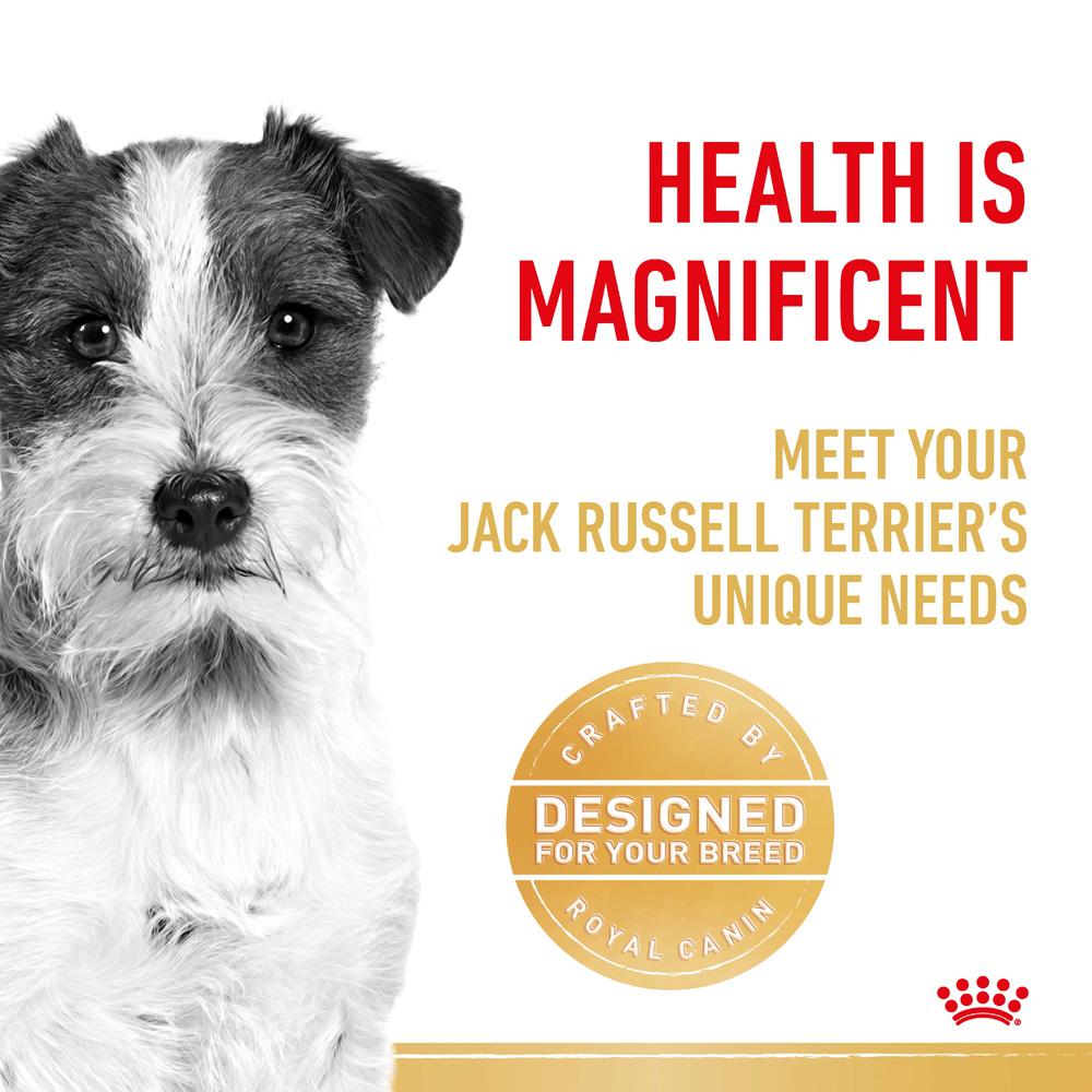 Royal Canin Jack Russell Adult Dry Dog Food