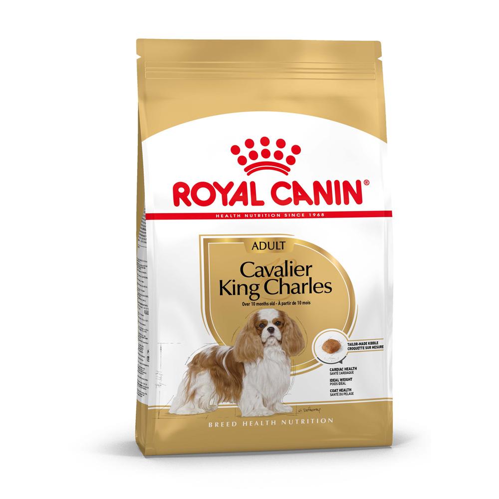 Royal Canin Cavalier King Charles Adult Dry Dog Food