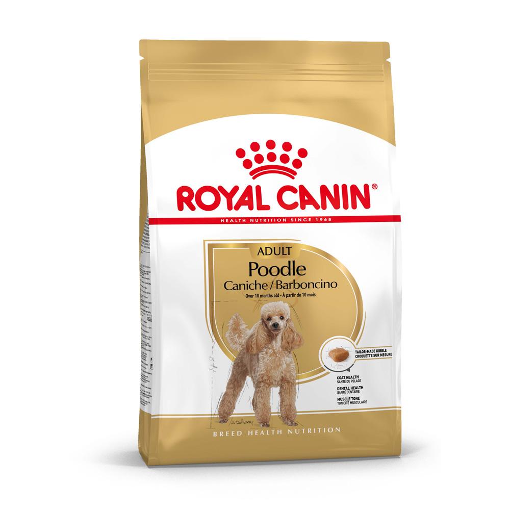 Royal Canin Poodle Adult Dry Dog Food