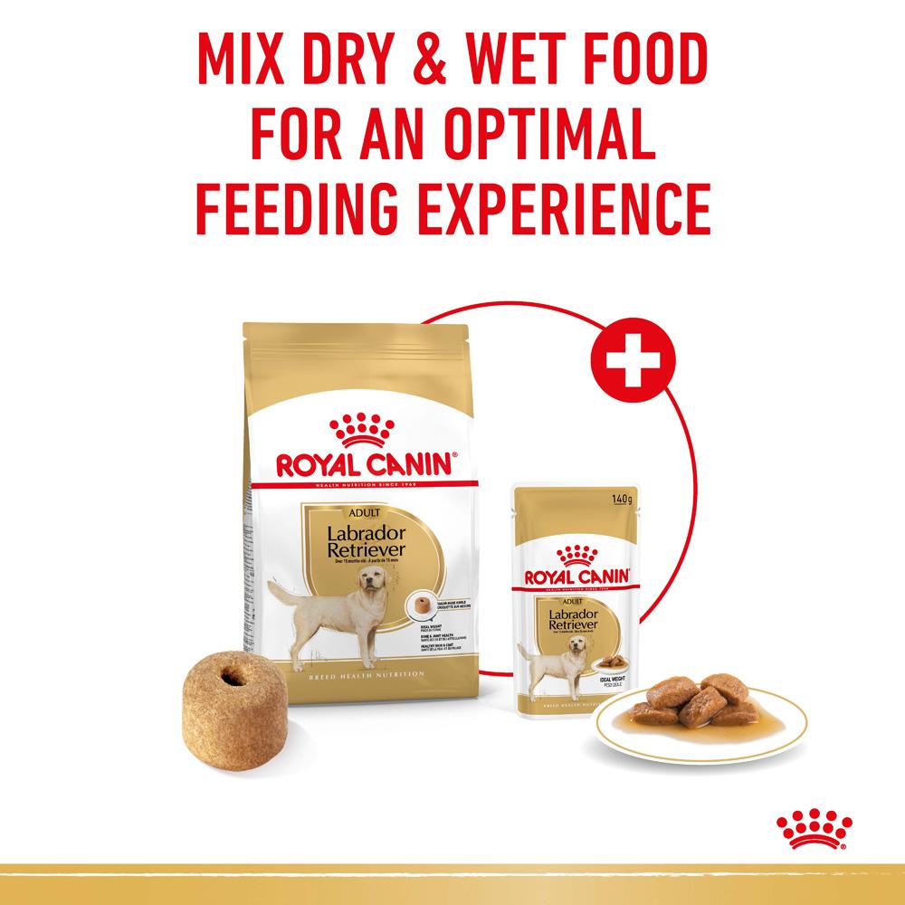 Royal Canin Labrador Retriever Adult Dry Dog Food