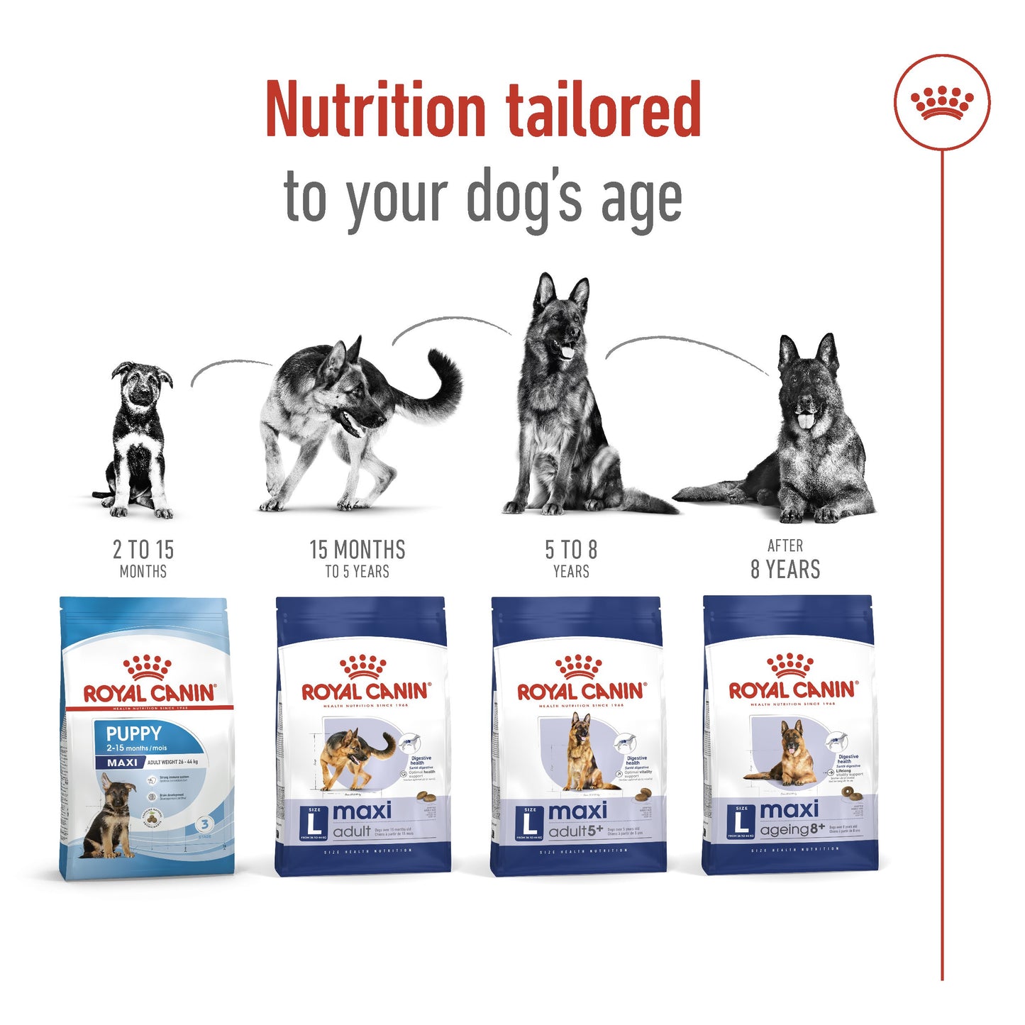 Royal Canin Maxi Large Breed Adult Chicken Dry Dog Food
