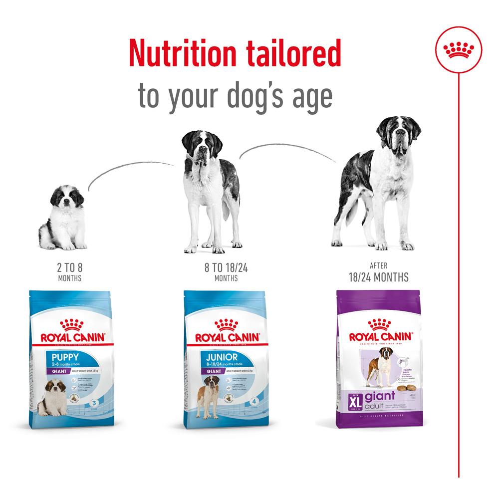 Royal Canin Giant Adult Chicken Dry Dog Food 15kg