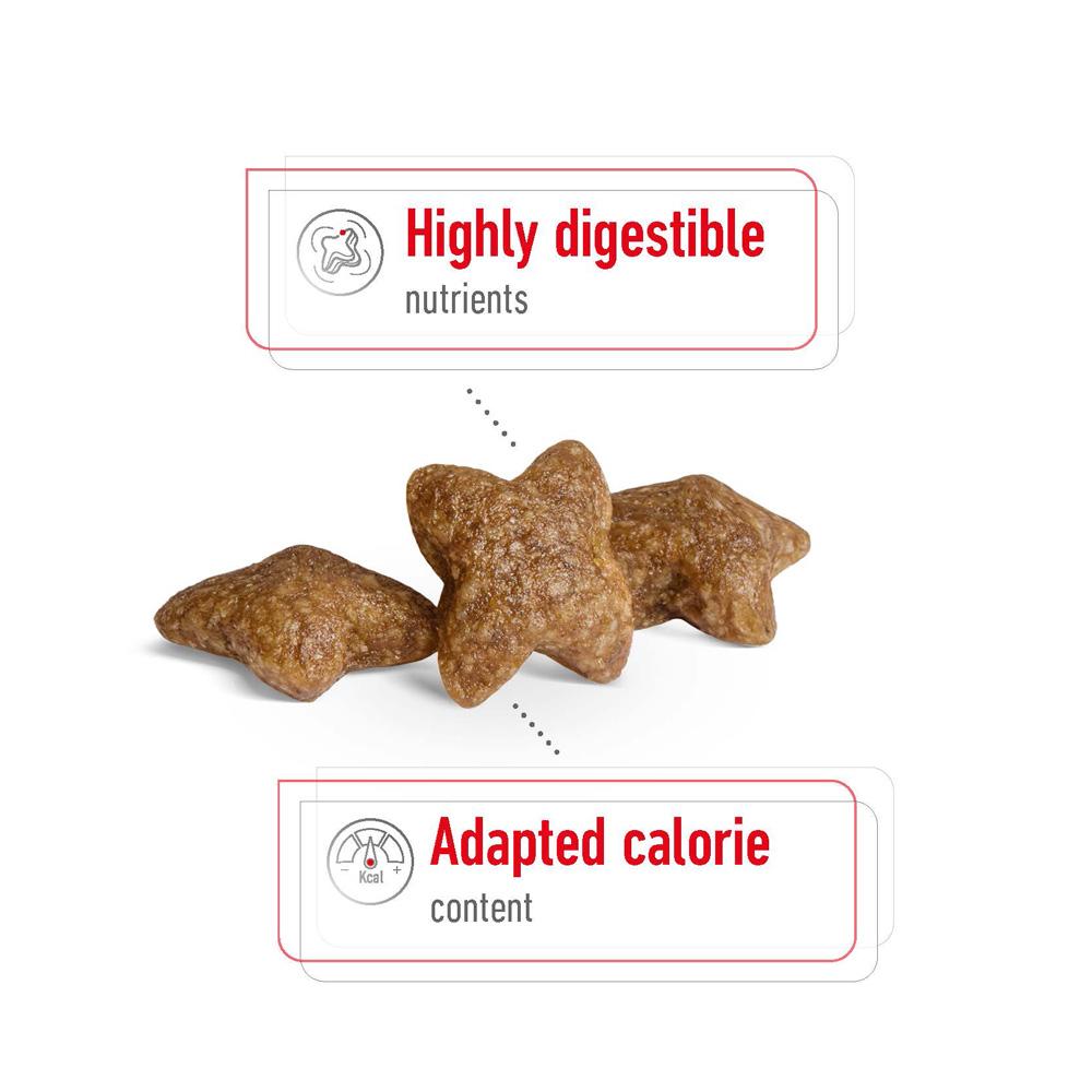 Royal Canin Mini Small Breed Adult Chicken Dry Dog Food...