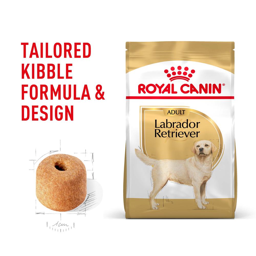 Royal Canin Labrador Retriever Adult Dry Dog Food