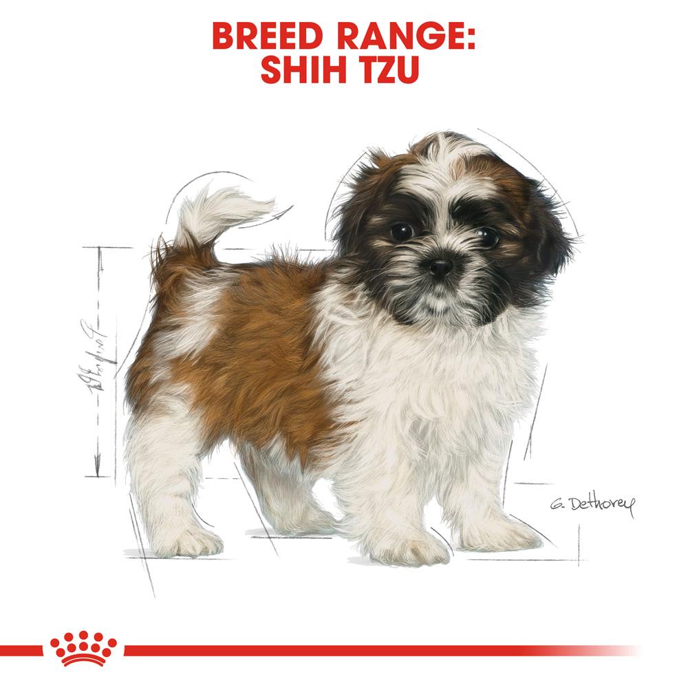 Royal Canin Shih Tzu Puppy Dry Dog Food 1.5kg