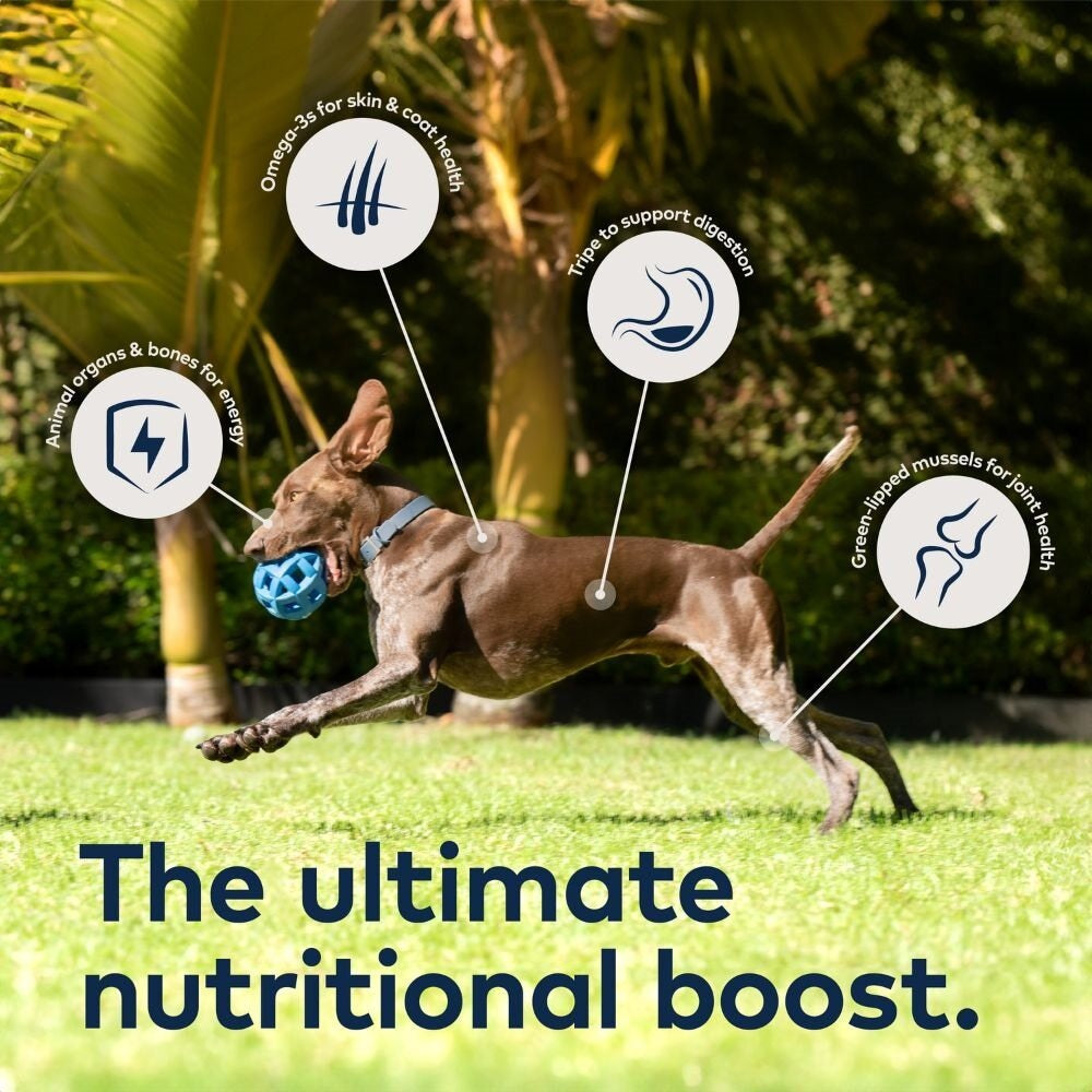 Ziwi Peak Air Dried Venison Recipe Dry Dog Food