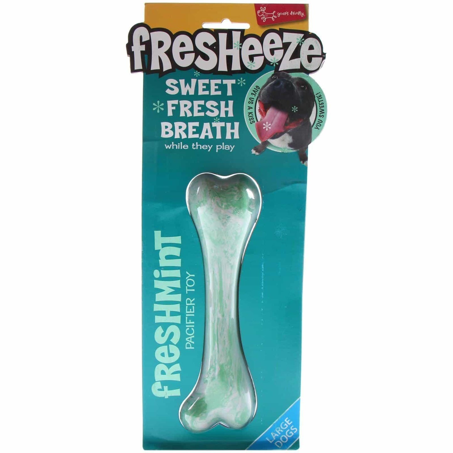 Fresheeze Fresh Mint Bone Rubber Dog Toy