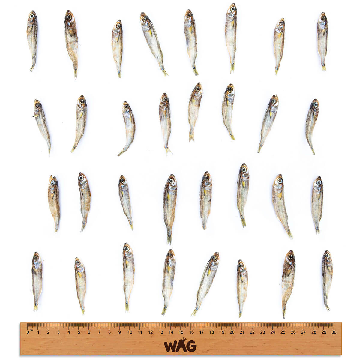 WAG Forage Fish Dog Treats 200g