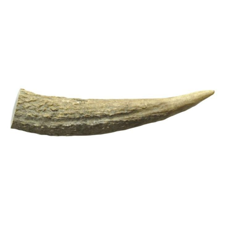 WAG Whole Deer Antler Naturally Shed Long Lasting Dog Treat