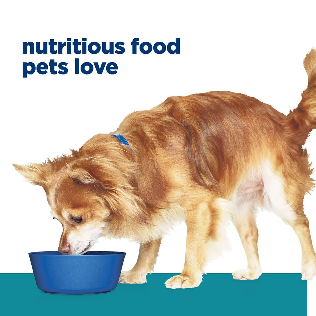Hill's Prescription Diet Small Breed T/D Dental Care Dry Dog Food