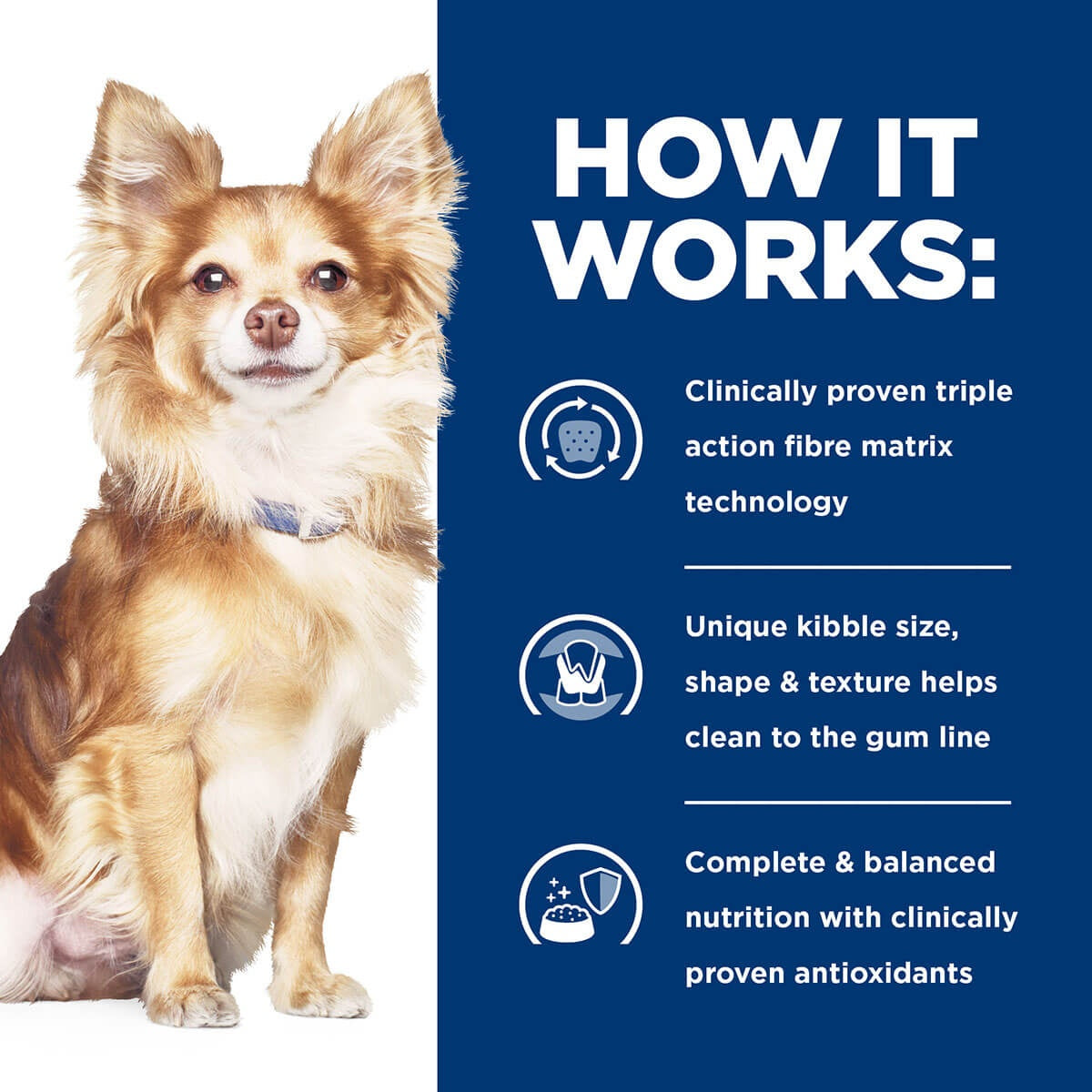 Hill's Prescription Diet Small Breed T/D Dental Care Dry Dog Food