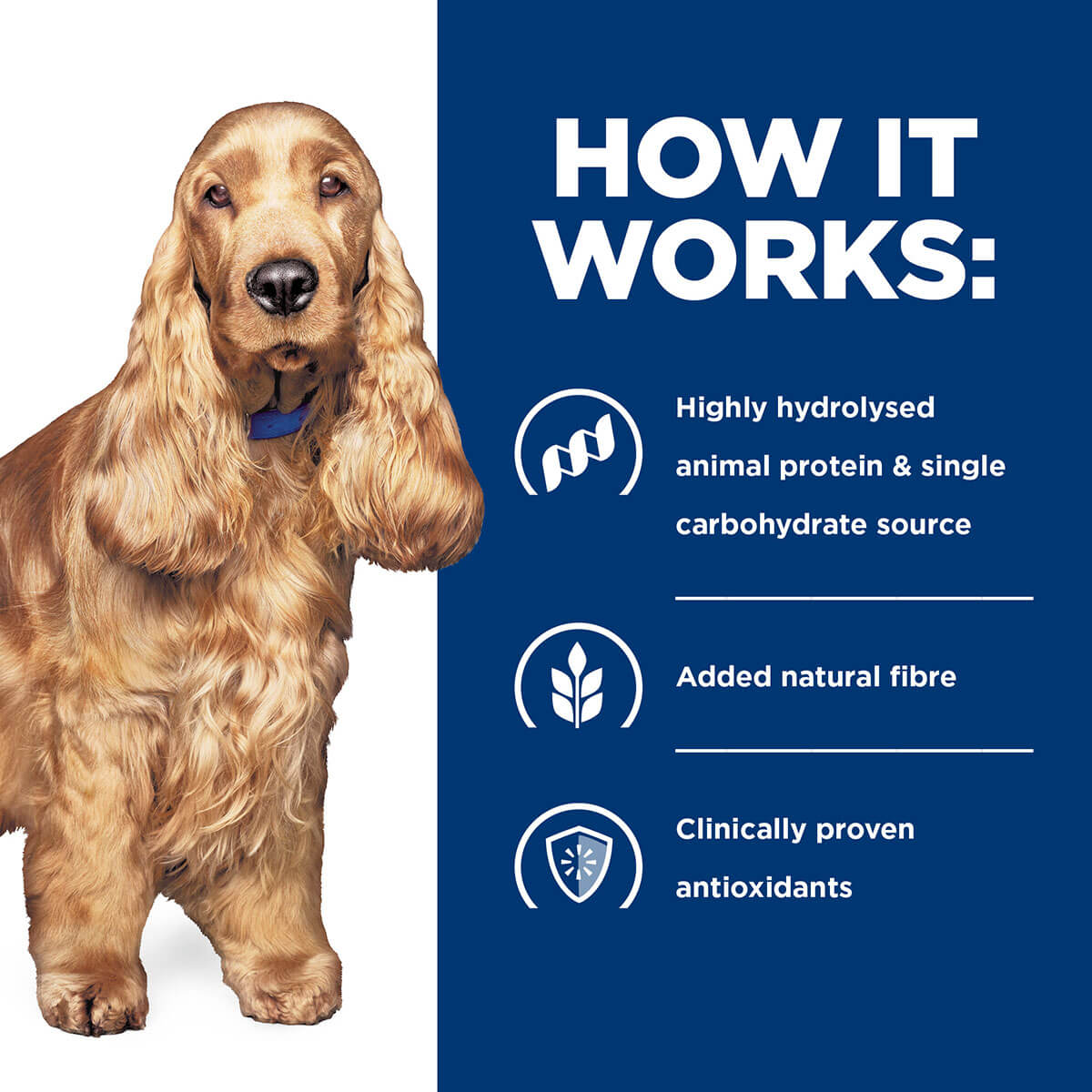 Hill's Prescription Diet Z/D Skin & Food Sensitivities Wet Dog Food 370G