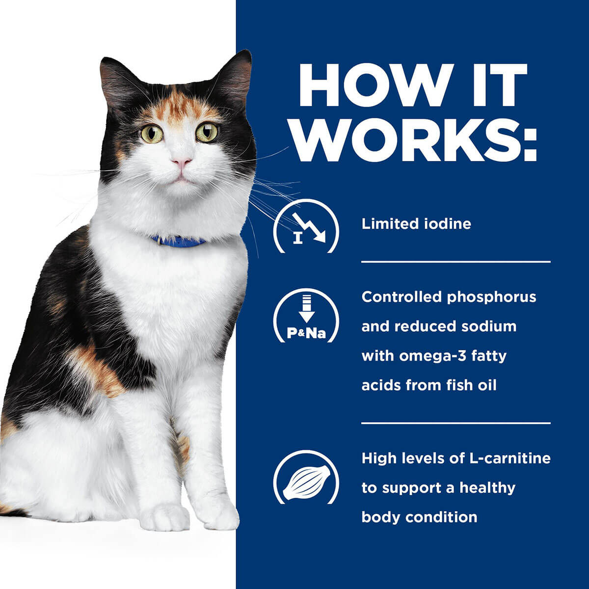 Hill's Prescription Diet Y/D Thyroid Care Dry Cat Food 1.8kg