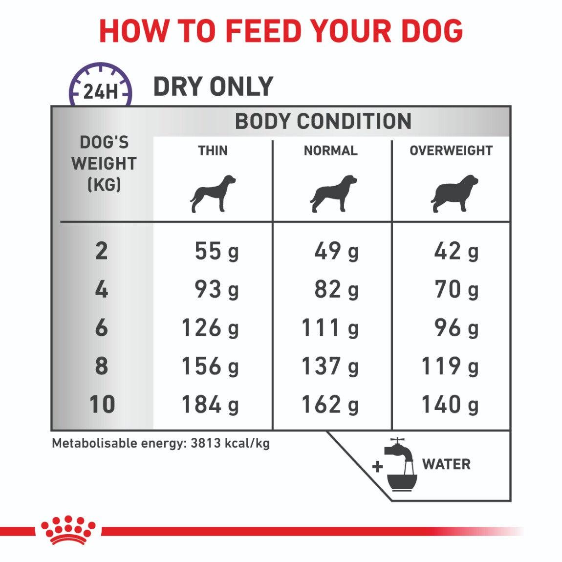 Royal Canin VET Small Breed Dental Special Dry Dog Food