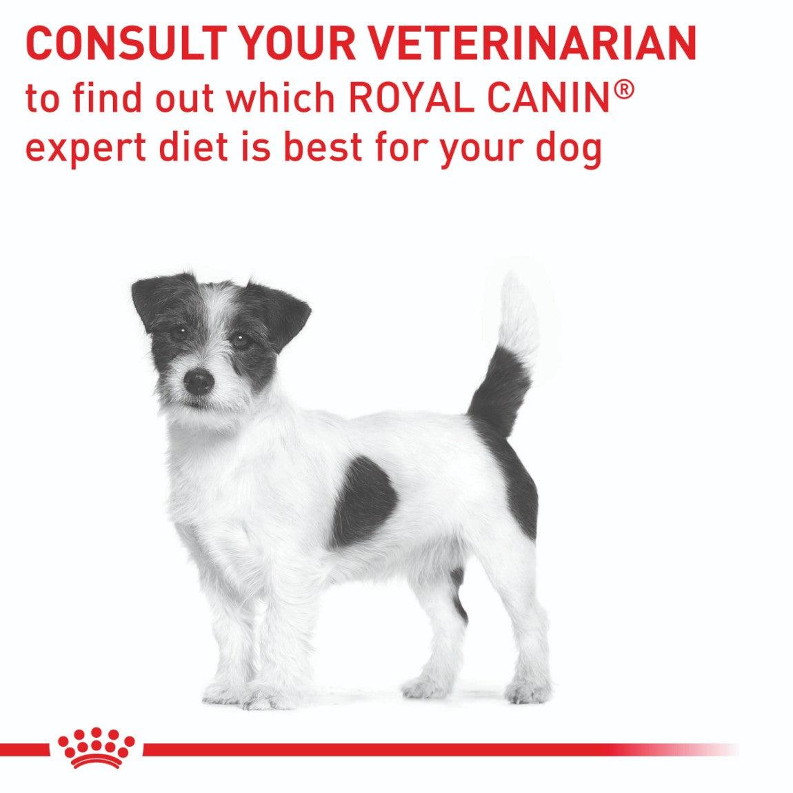 Royal Canin VET Small Breed Dental Special Dry Dog Food