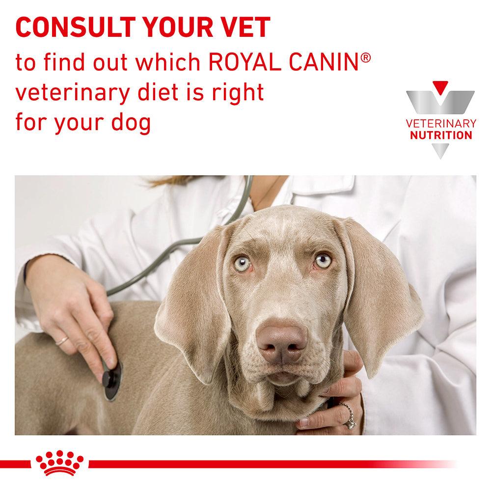 Royal Canin VET Renal Dry Dog Food