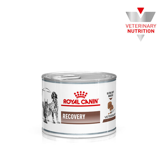 ROYAL CANIN VETERINARY DIET Recovery Adult Wet Food Cans 195g