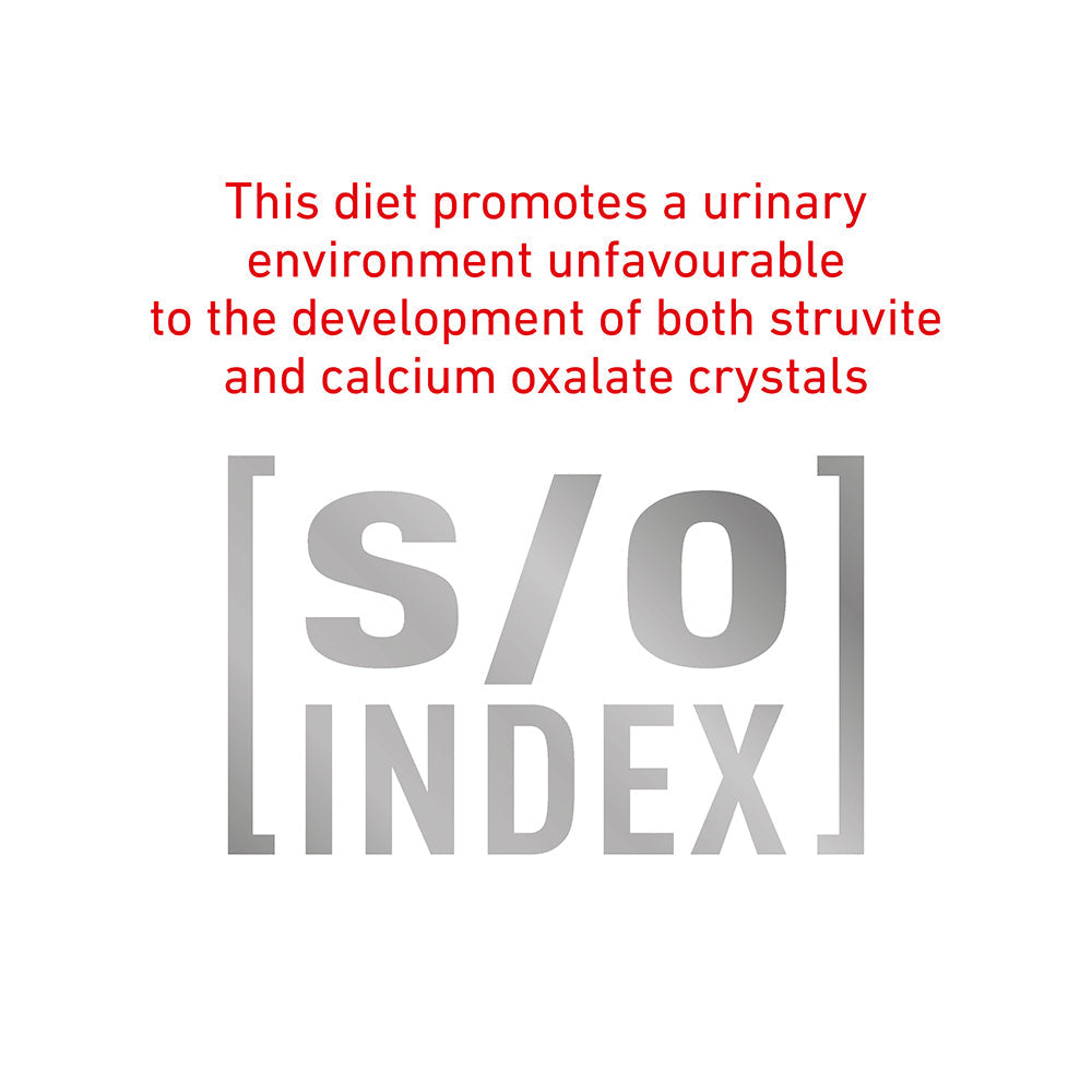 ROYAL CANIN VETERINARY DIET Satiety Adult Wet Dog Food Cans 410G