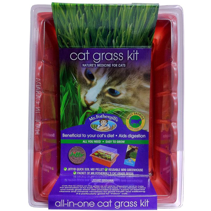 Mr Fothergill's Edible Cat Grass