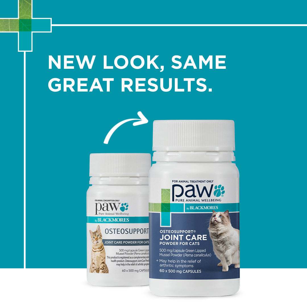 PAW Osteosupport Joint Care Powder For Cats 60pk