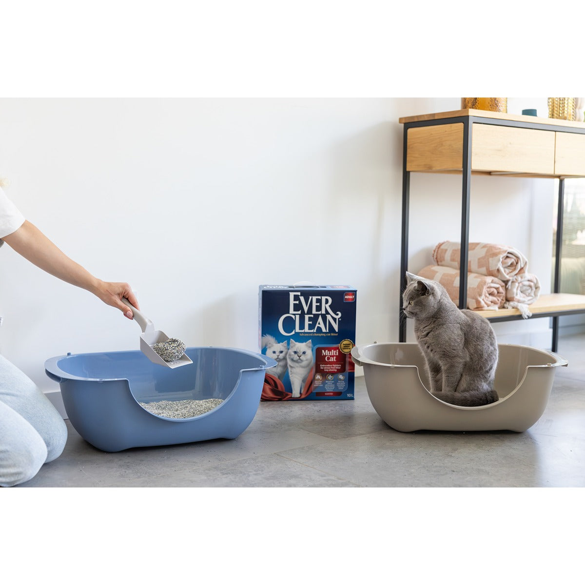 Ever Clean Adult Multi-Cat Scented Clumping Cat Litter