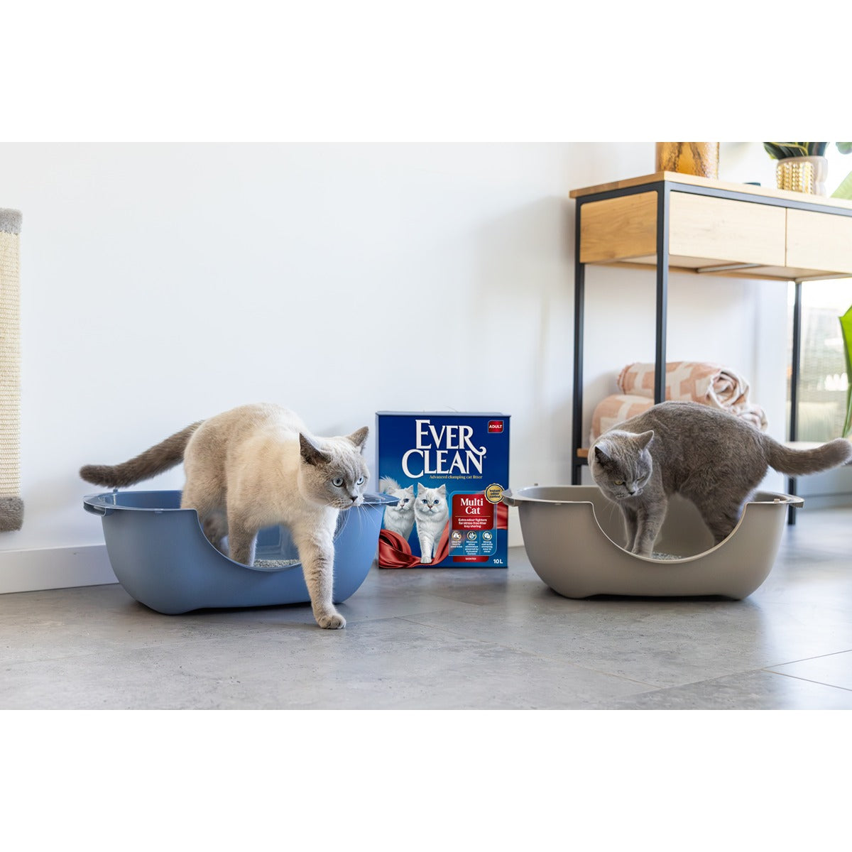 Ever Clean Adult Multi-Cat Scented Clumping Cat Litter